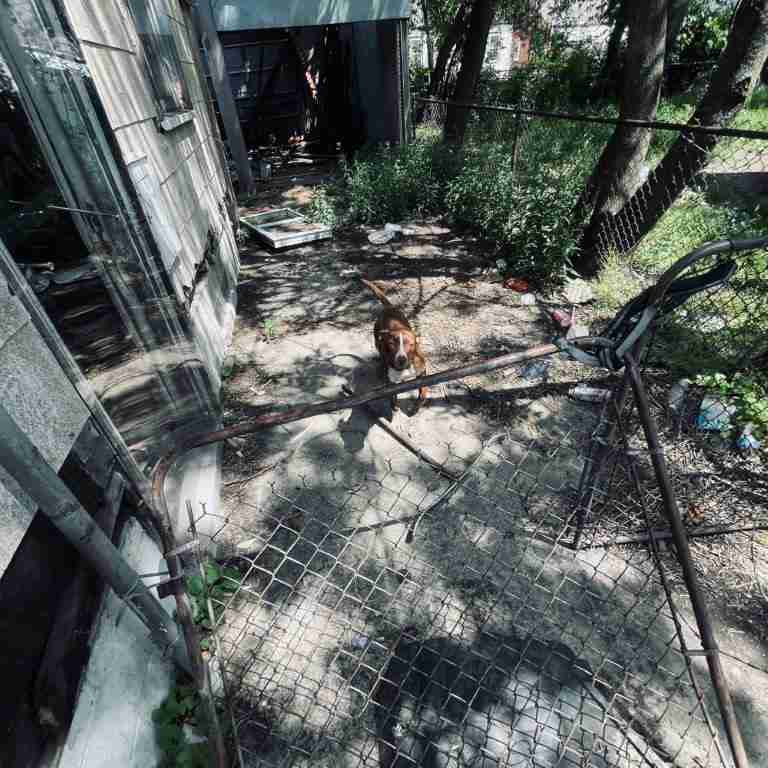 20506 Cardoni (18).jpg